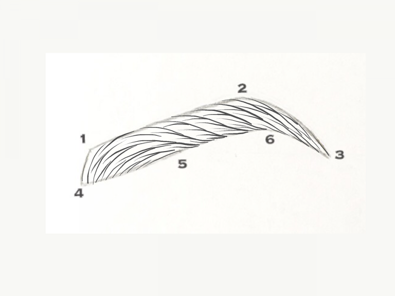 Brow Design Microblading Hairstrokes Pattern Course • Brow Design