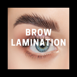 Brow Design Permanent Makeup and Microblading Supplies - Training